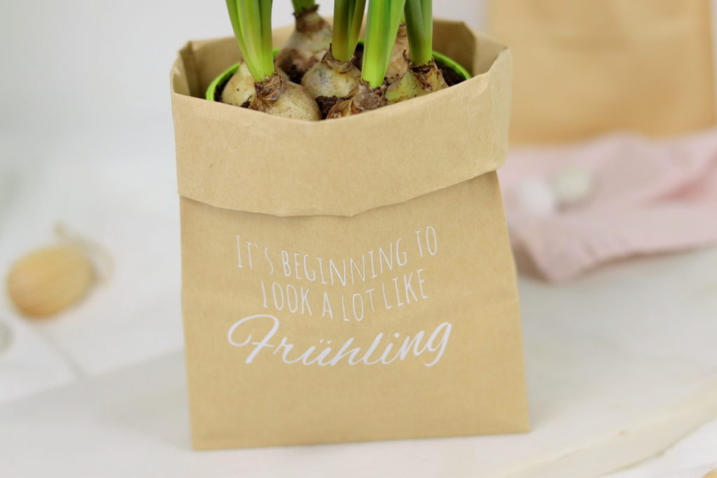 DIY Anleitung Blumentopf aus Papiertüte als Geschenkverpackung