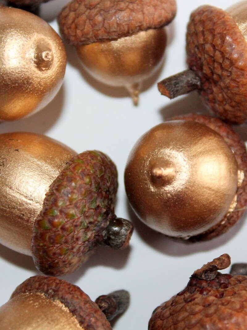 DIY goldene Eicheln selber machen! Herbstdekoration schnell, edel und gold? Mit dieser Bastelidee klappt es ganz einfach!