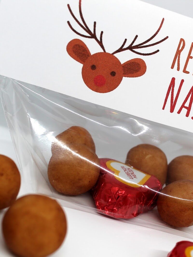 DIY Rentiernasen {mit gratis Printable} / Last Minute Geschenkidee zu Weihnachten