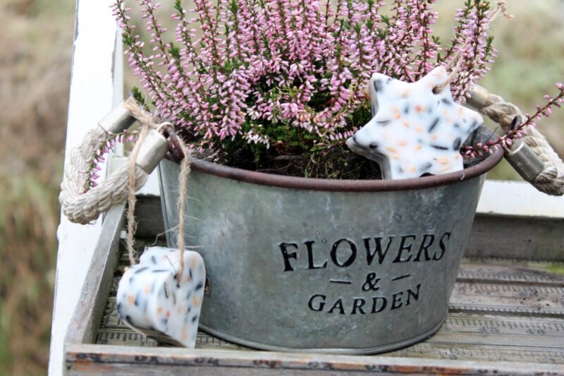 DIY selbstgemachtes Vogelfutter Knödel mit Plätzchenformen in süßem Vogelhaus