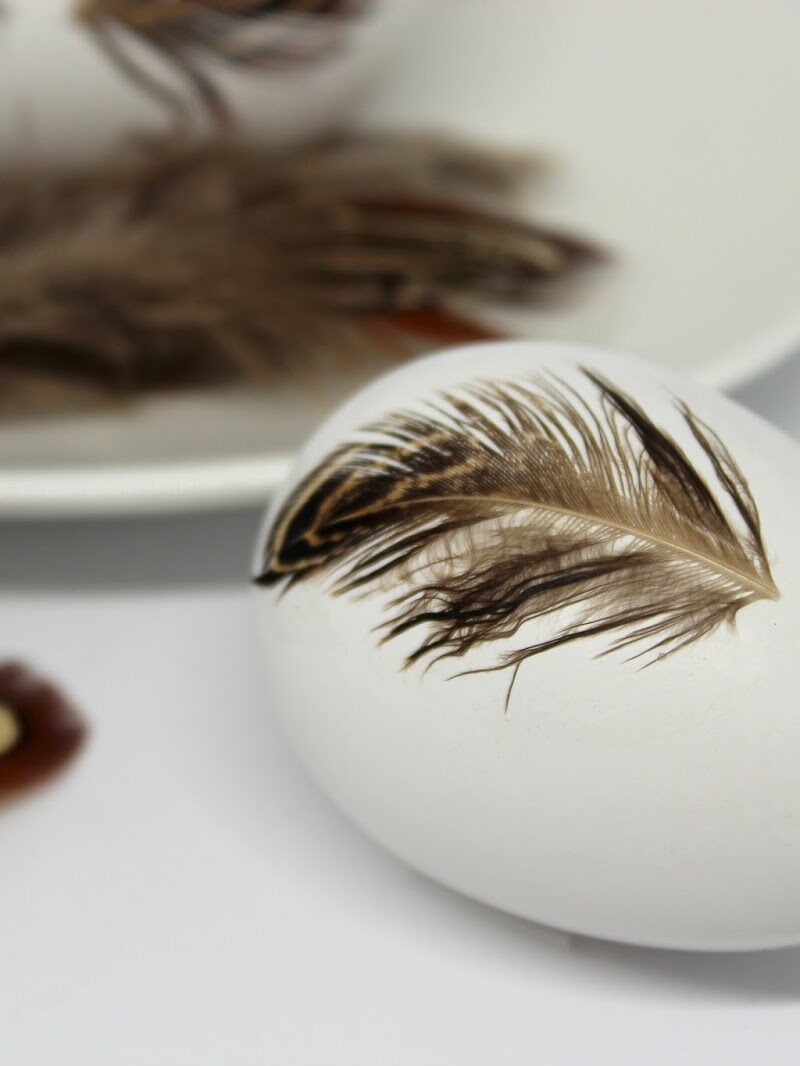 DIY Ostereier mit Federn bekleben - schnelle Osterdekoration selber machen