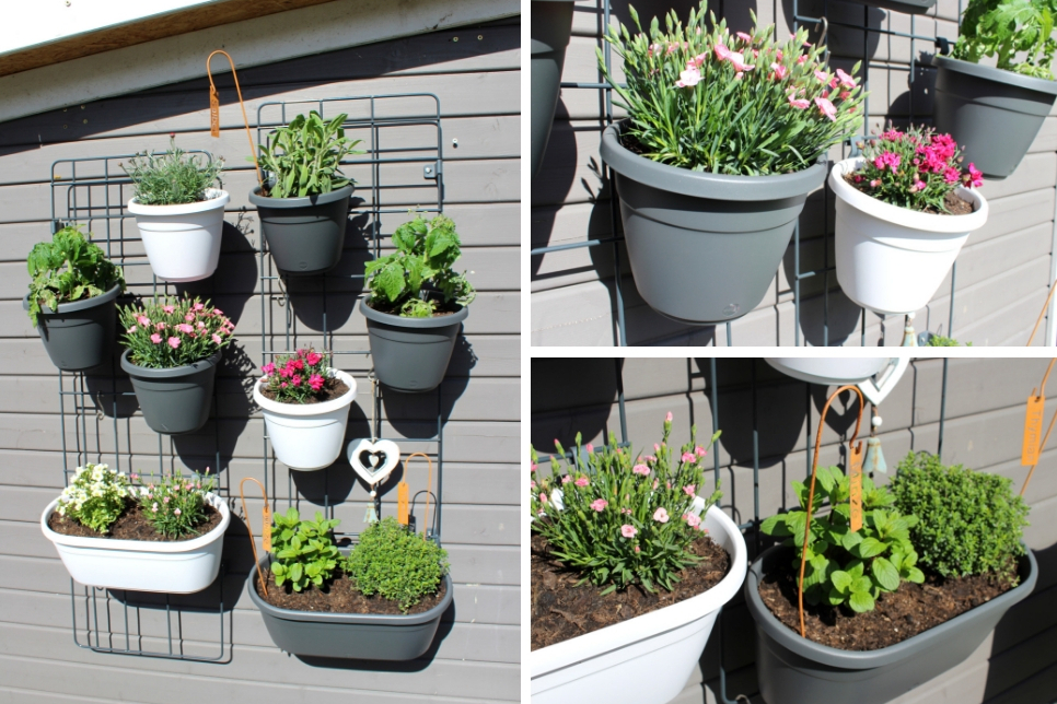 DIY: Urban Gardening mit dem EMSA Wandgarten + Tipps und Tricks