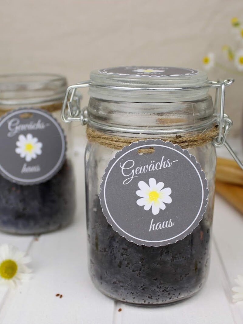 Geschenk, Glas, Gewächshaus, Blumen