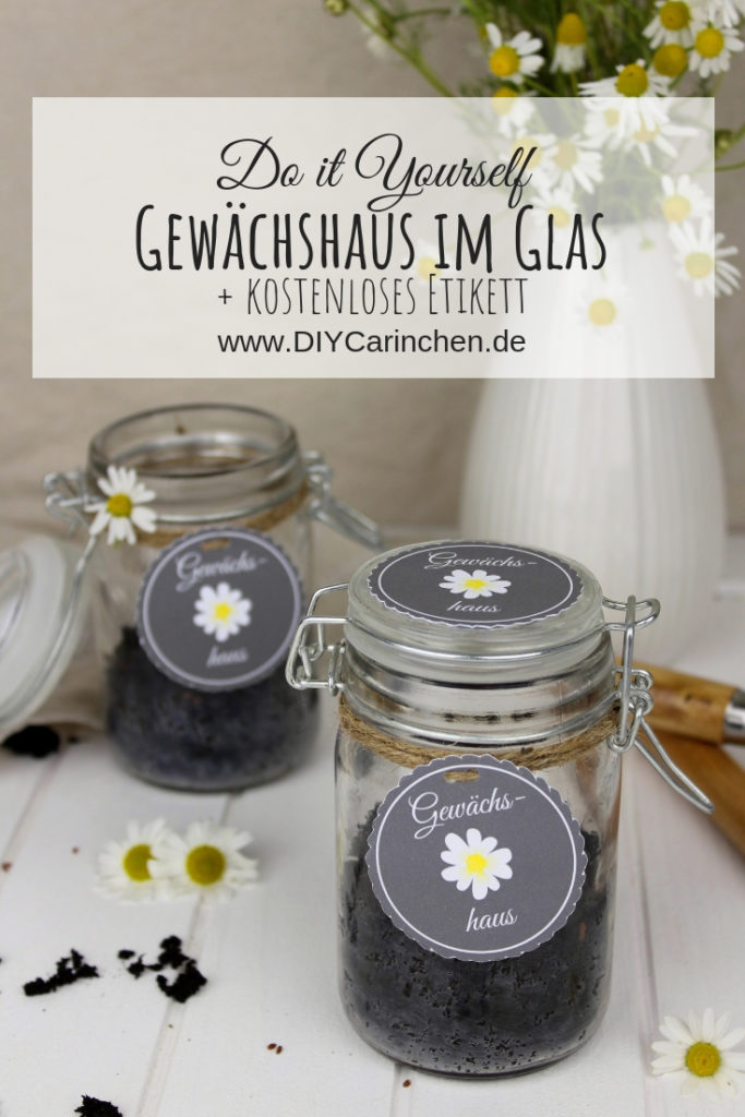 DIY - Mini Gewächshaus im Glas - perfekte Geschenkidee für den Sommer + gratis Etikett