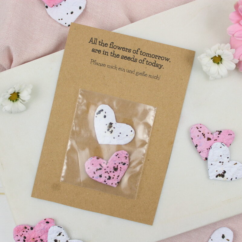 DIY - Seedbombs | Samenbomben | blühendes Konfetti basteln