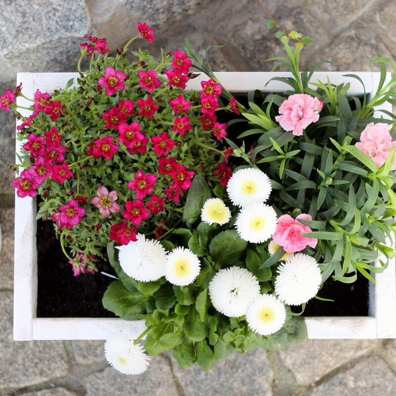 selbstgemachte / selbstgebaute Pflanzkübel aus Holz