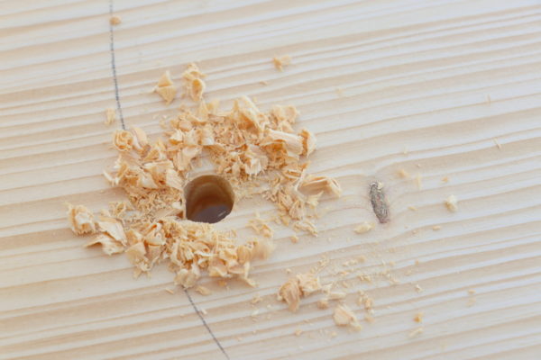 DIY - Gartenbank mit integriertem Blumentopf selber bauen | Anleitung