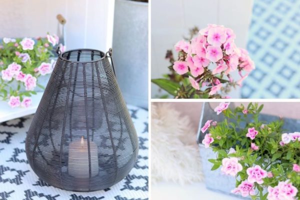 DIY Gartenregal aus Holz schnell und einfach selber bauen