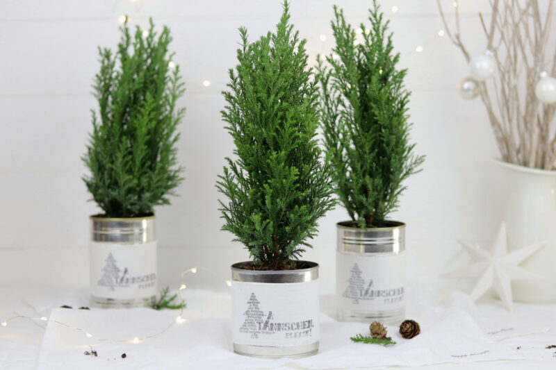 DIY Dosen Upcycling Weihnachtsgeschenk Tannenbaum