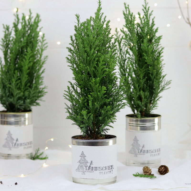 DIY Dosen Upcycling Weihnachtsgeschenk Tannenbaum