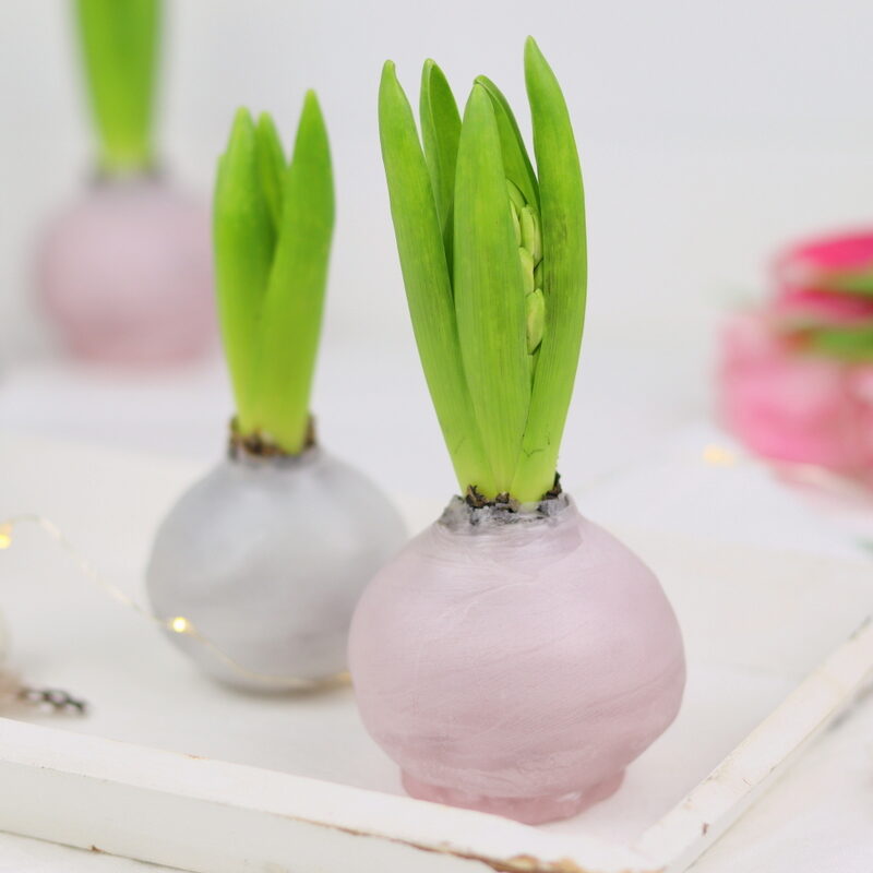 DIY selbstgemachte Hyazinthen in Wachs für den Frühling