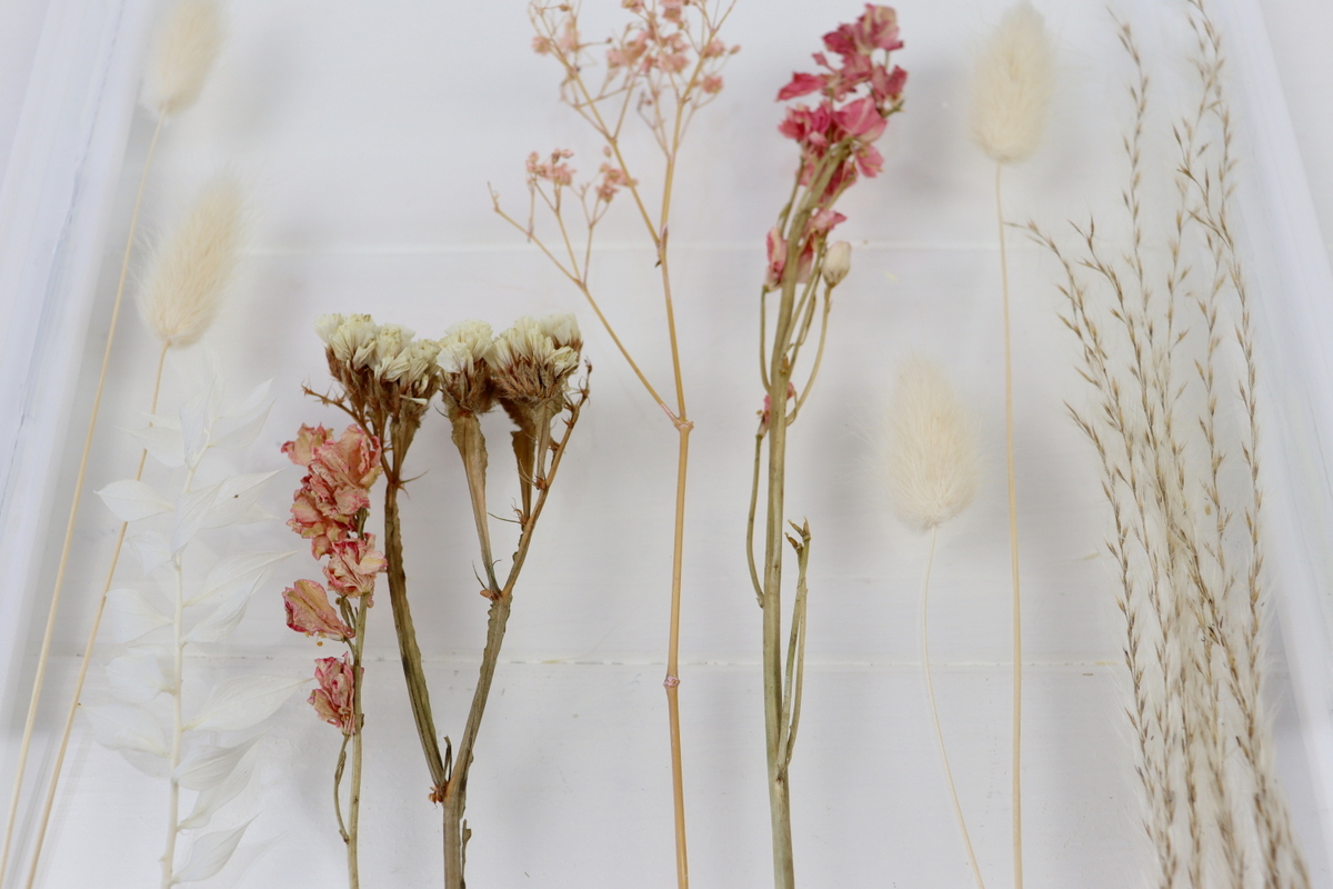 DIY selbstgemachte Doppelglas Bilderrahmen aus Plexiglas und Stuck mit Trockenblumen