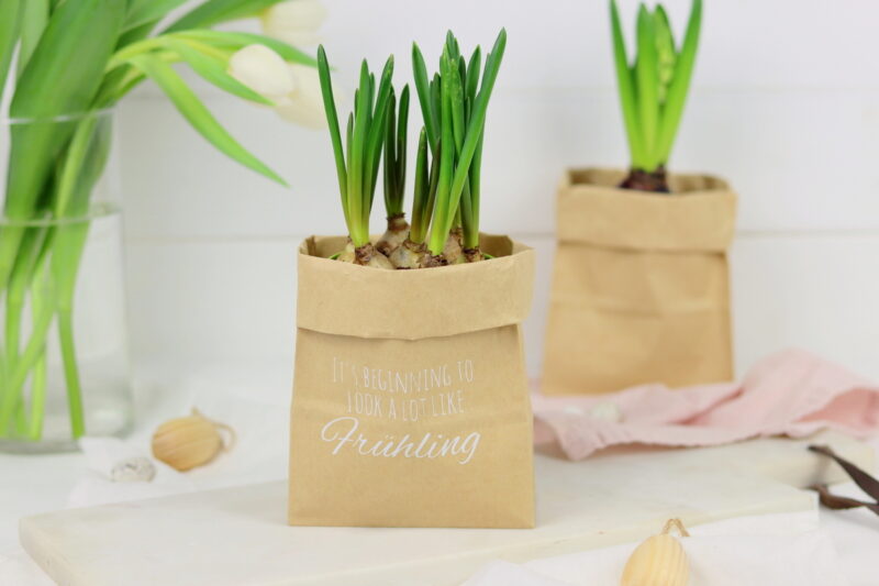 DIY - selbstgemachter Blumentopf aus einer Papiertüte als Geschenkverpackung mit dem Plotter