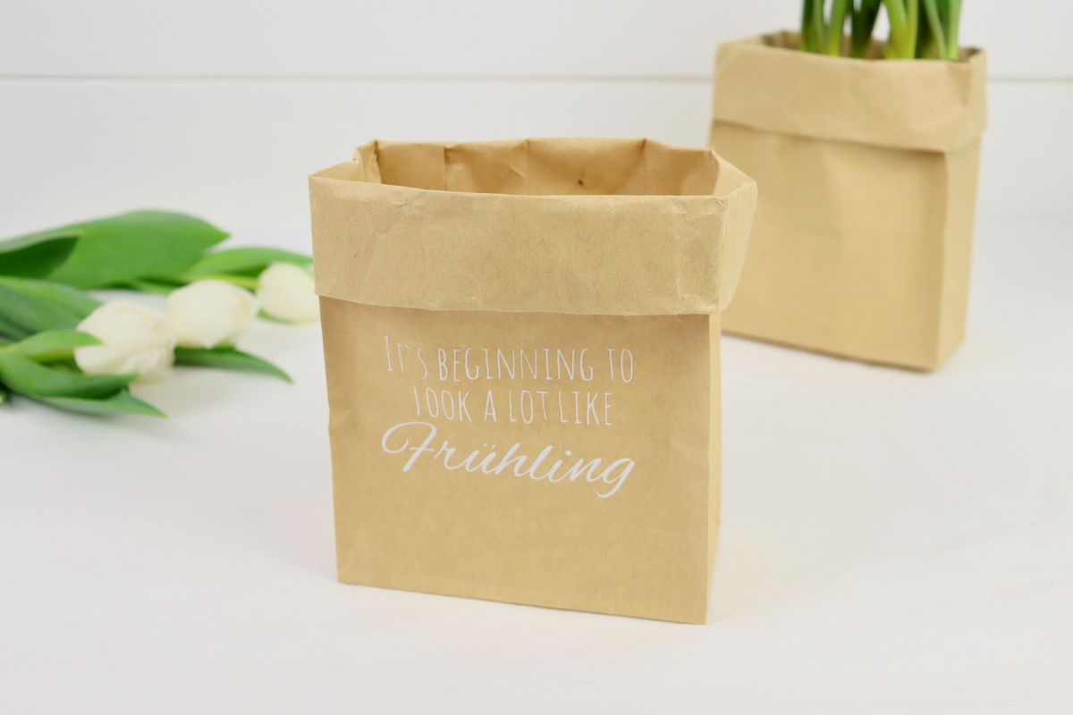 DIY - selbstgemachter Blumentopf aus einer Papiertüte als Geschenkverpackung mit dem Plotter