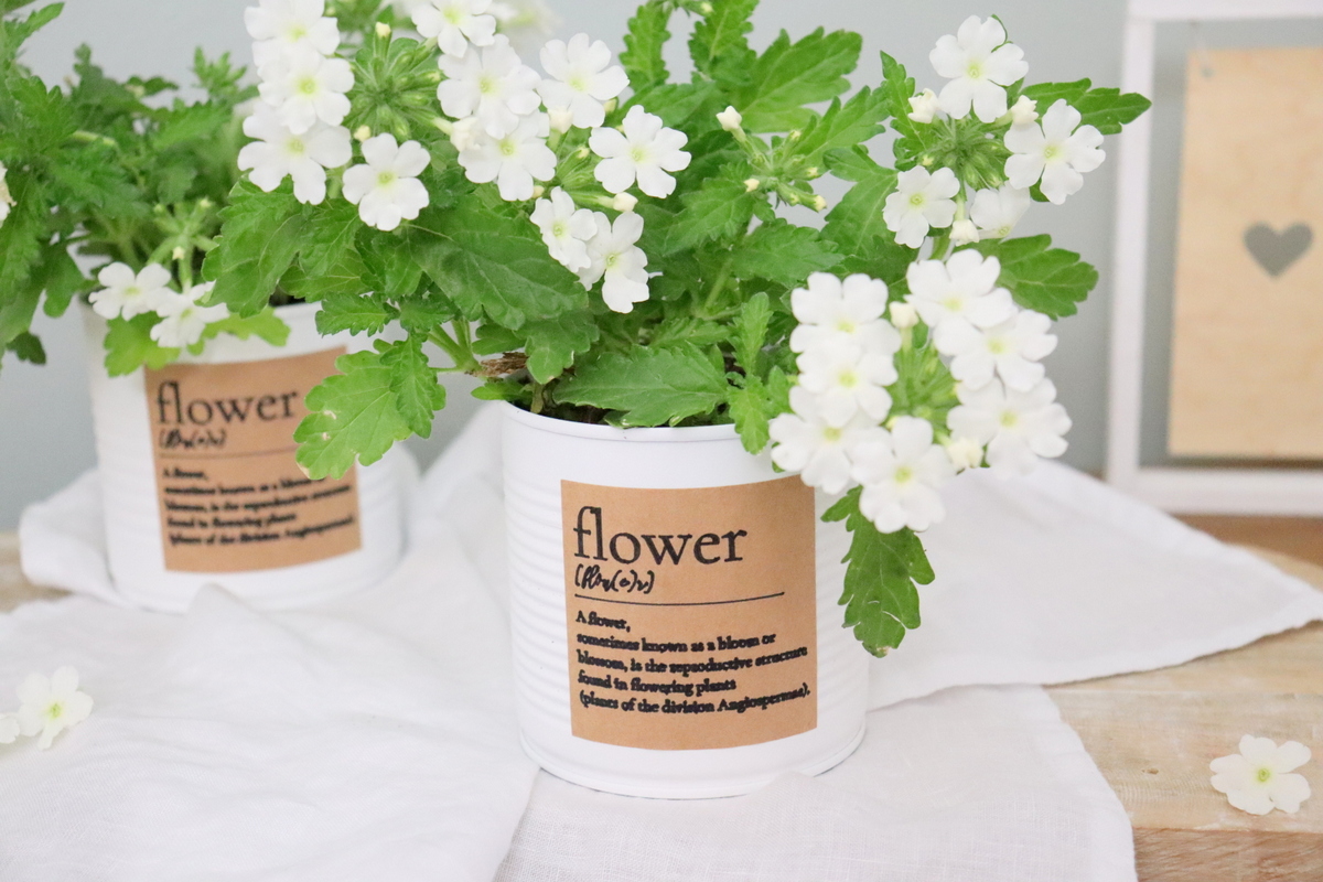DIY - selbstgemachter Upcycling Blumentopf aus einer Konservendose mit Kreidefarbe und Etikett