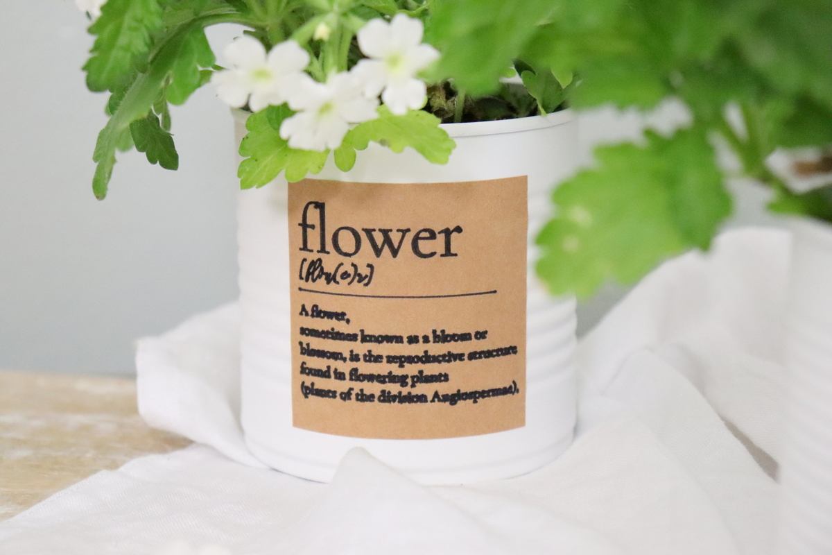 DIY - selbstgemachter Upcycling Blumentopf aus einer Konservendose mit Kreidefarbe und Etikett