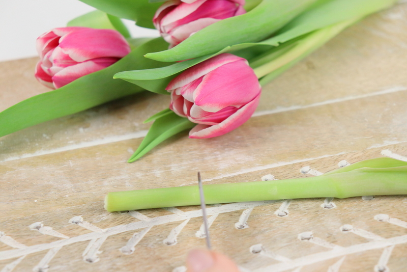 Tipps: Tulpen länger haltbar und frisch halten