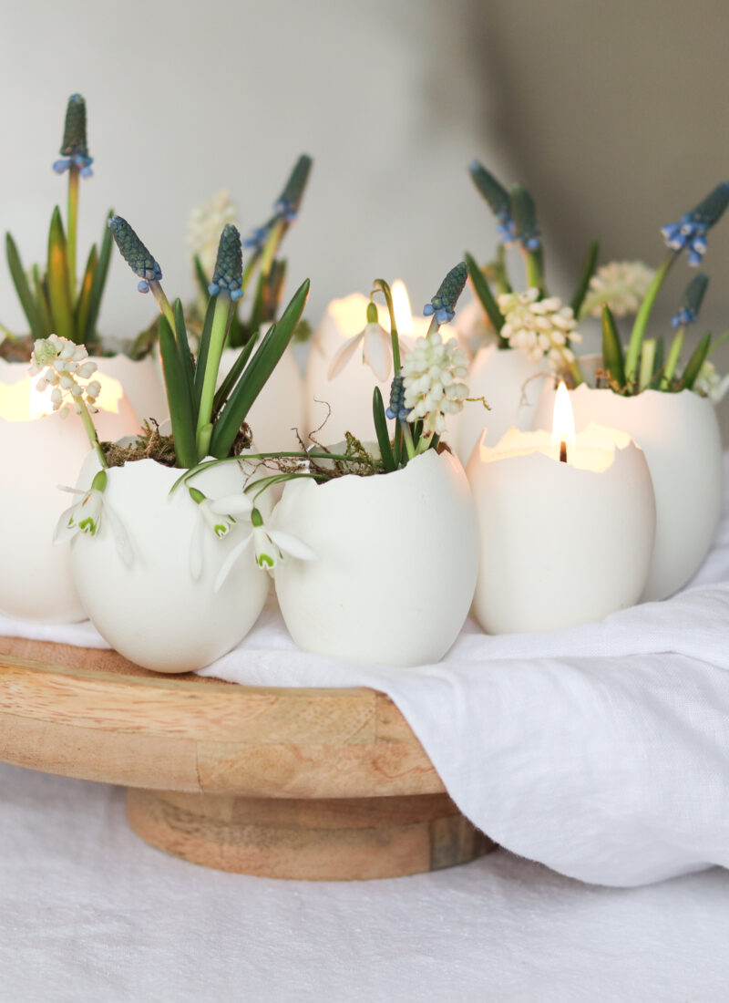 Eierkranz aus Gänseeiern basteln – Frühlingsdeko mit Blumen & Kerzen