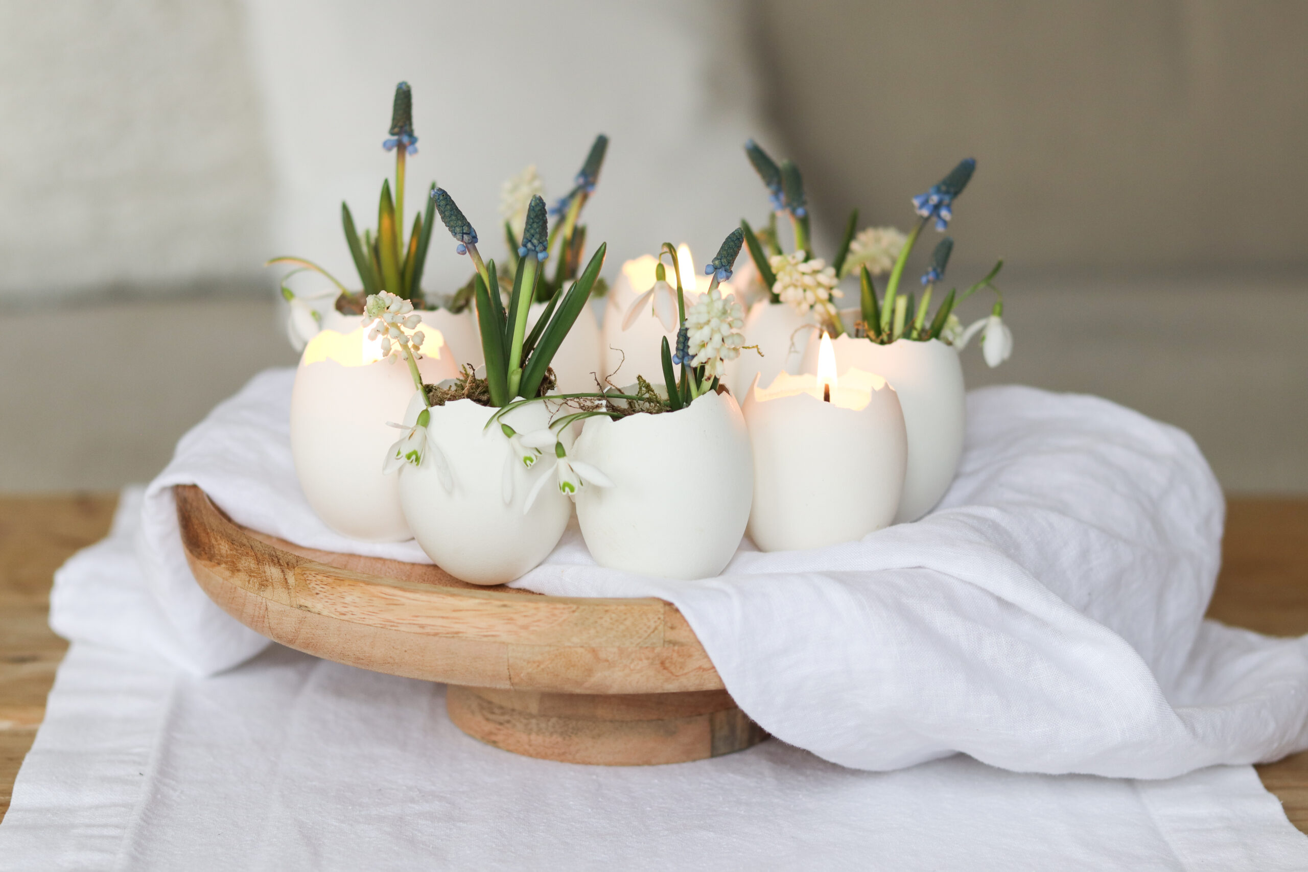 Eierkranz aus Gänseeiern basteln – Frühlingsdeko mit Blumen & Kerzen