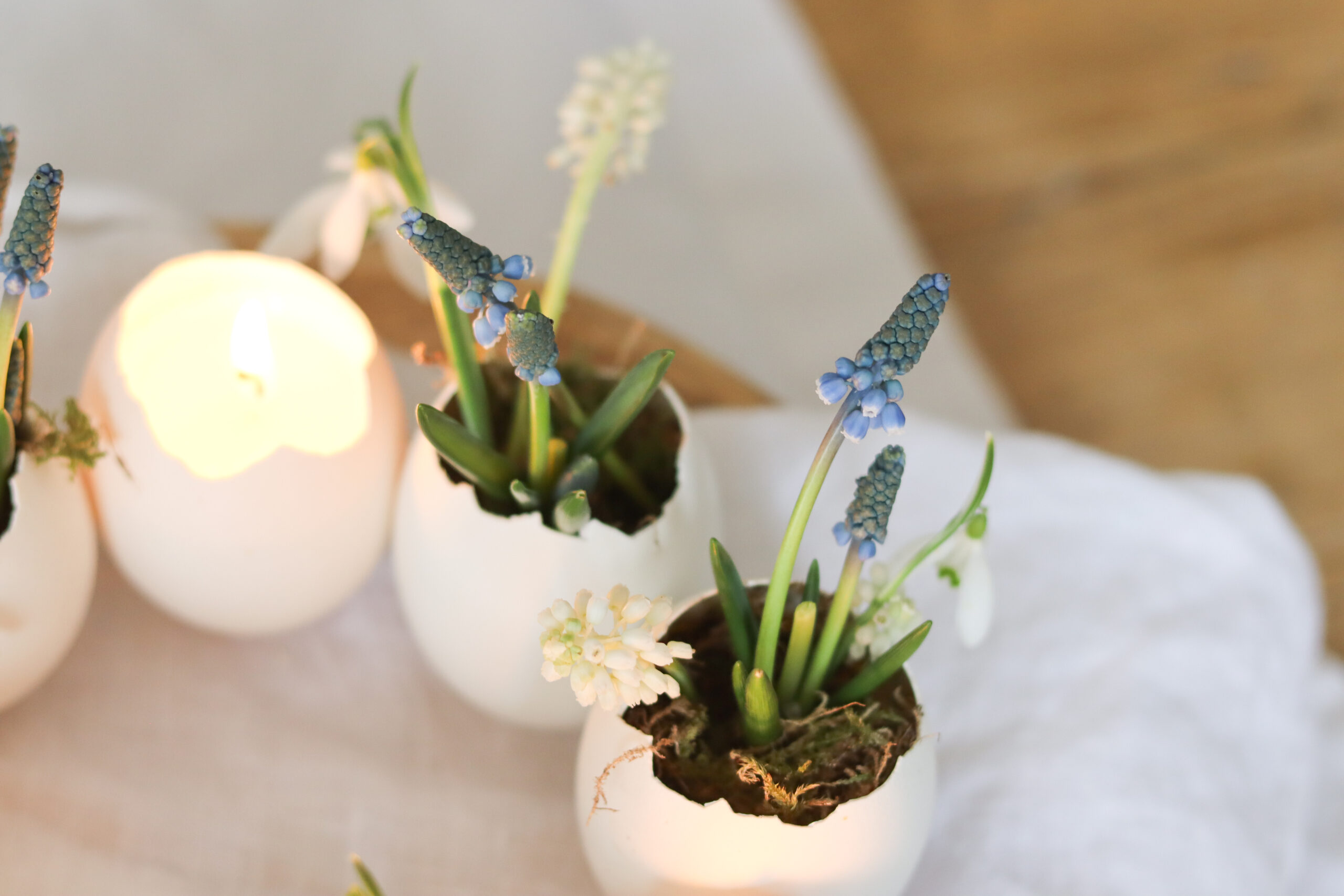 Eierkranz aus Gänseeiern basteln – Frühlingsdeko mit Blumen & Kerzen