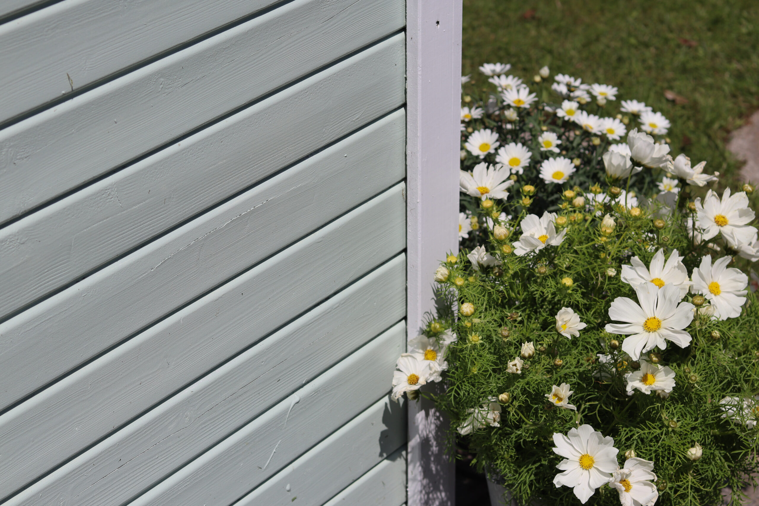 Gartenhaus Makeover: So wird Dein altes Häuschen zum Hingucker